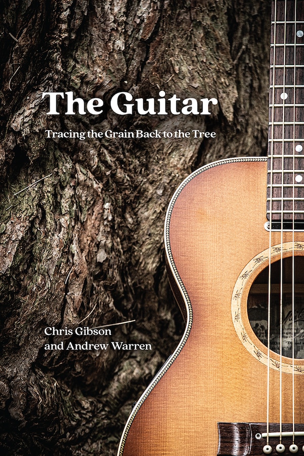 The Guitar by Chris Gibson, Paperback | Indigo Chapters