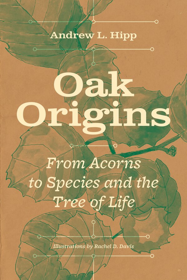 Oak Origins by Andrew L. Hipp, Hardcover | Indigo Chapters
