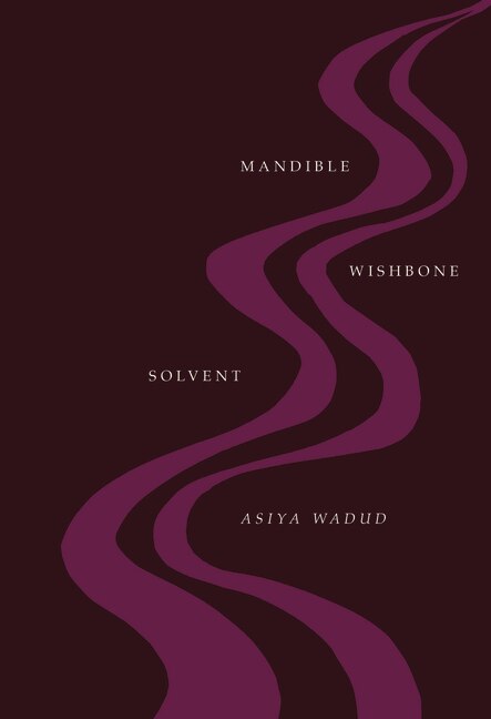 Mandible Wishbone Solvent by Asiya Wadud, Paperback | Indigo Chapters