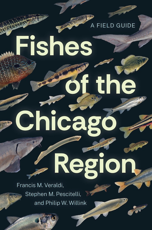 Fishes of the Chicago Region by Francis M. Veraldi, Paperback | Indigo Chapters