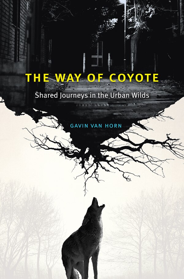 The Way of Coyote by Gavin Van Horn, Paperback | Indigo Chapters