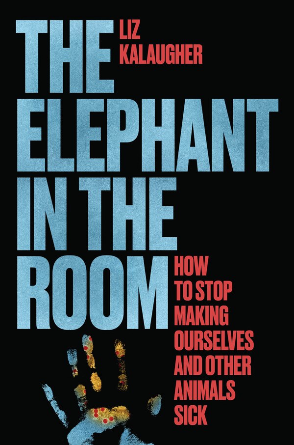 The Elephant in the Room by Liz Kalaugher, Hardcover | Indigo Chapters