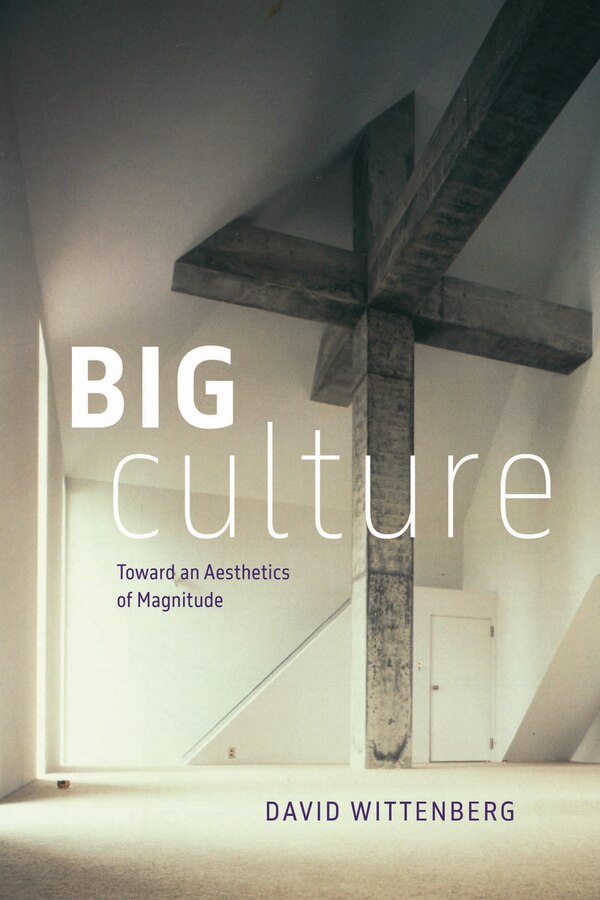 Big Culture by David Wittenberg, Paperback | Indigo Chapters