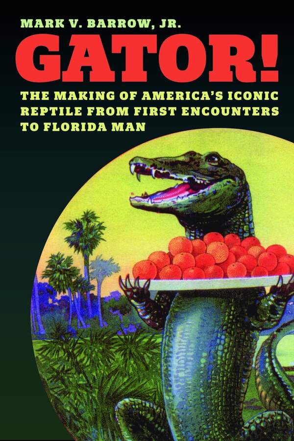 Gator by Mark V. Barrow, Hardcover | Indigo Chapters