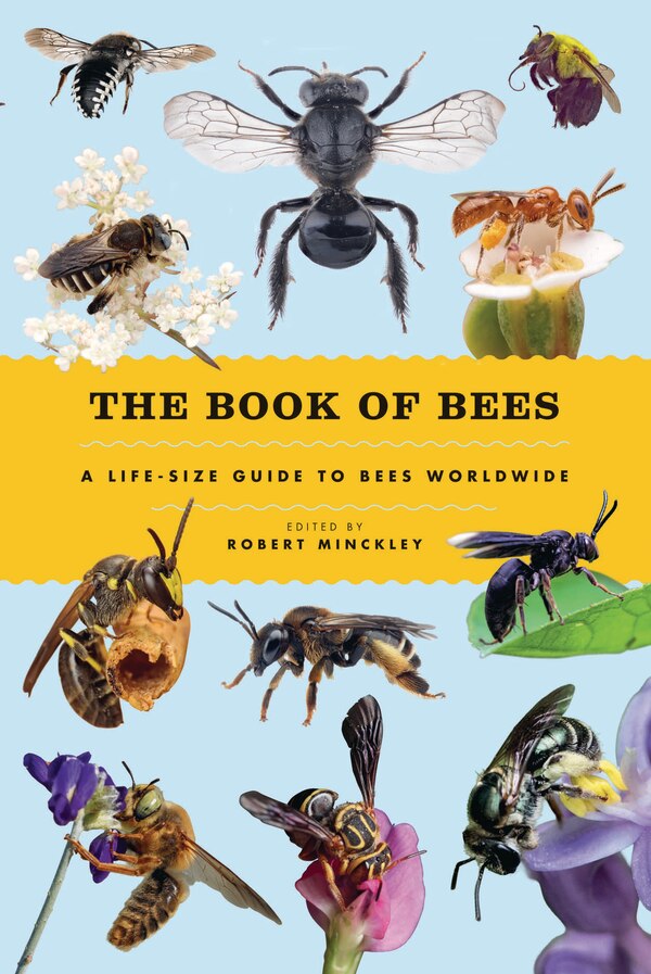 The Book of Bees by Robert Minckley, Hardcover | Indigo Chapters