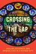 Crossing the Gap by David A. Ansell, MD, Hardcover | Indigo Chapters