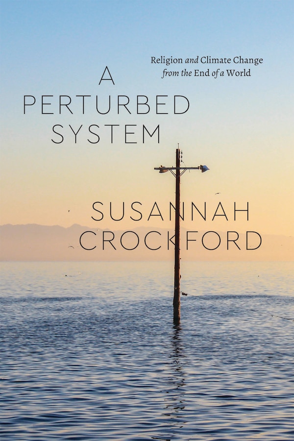 A Perturbed System by Susannah Crockford, Paperback | Indigo Chapters