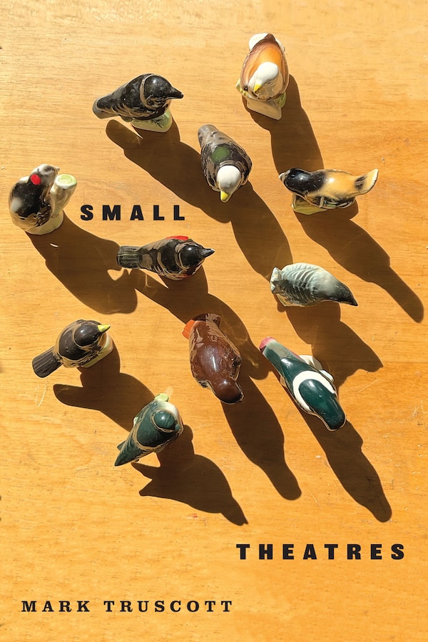 Small Theatres by Mark Truscott, Paperback | Indigo Chapters