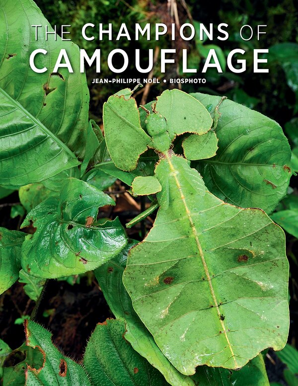 The Champions of Camouflage by Jean-Philippe Noël, Paperback | Indigo Chapters