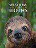 Wisdom of Sloths by Lisa Purcell, Hardcover | Indigo Chapters