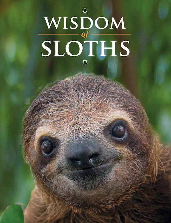Wisdom of Sloths by Lisa Purcell, Hardcover | Indigo Chapters