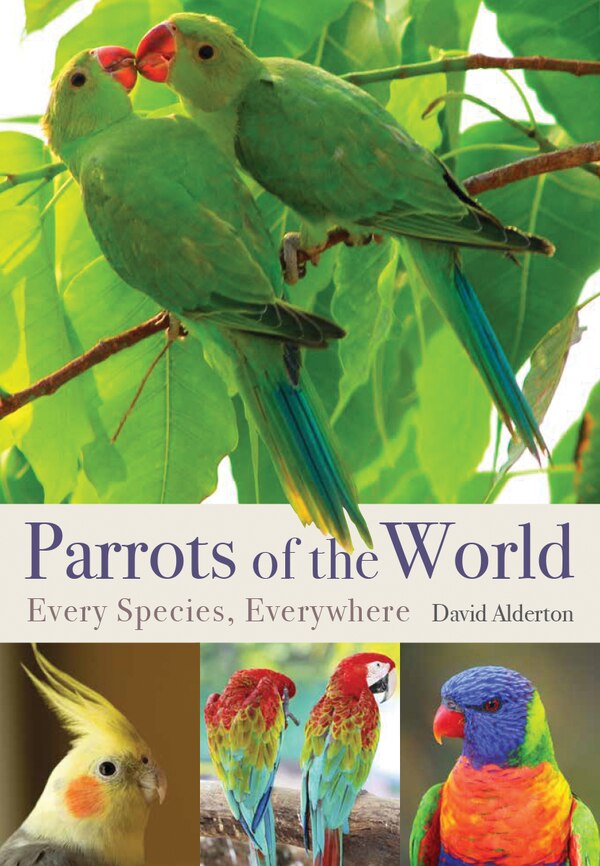 Parrots of the World by David Alderton, Hardcover | Indigo Chapters