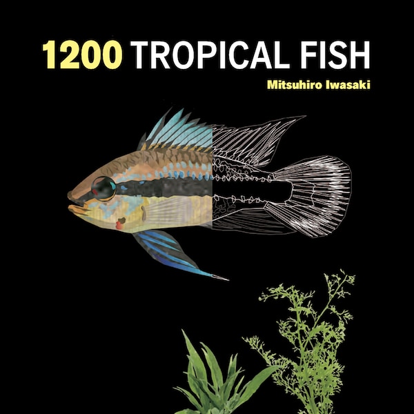 1200 Tropical Fish by Mitsuhiro Iwasaki, Paperback | Indigo Chapters