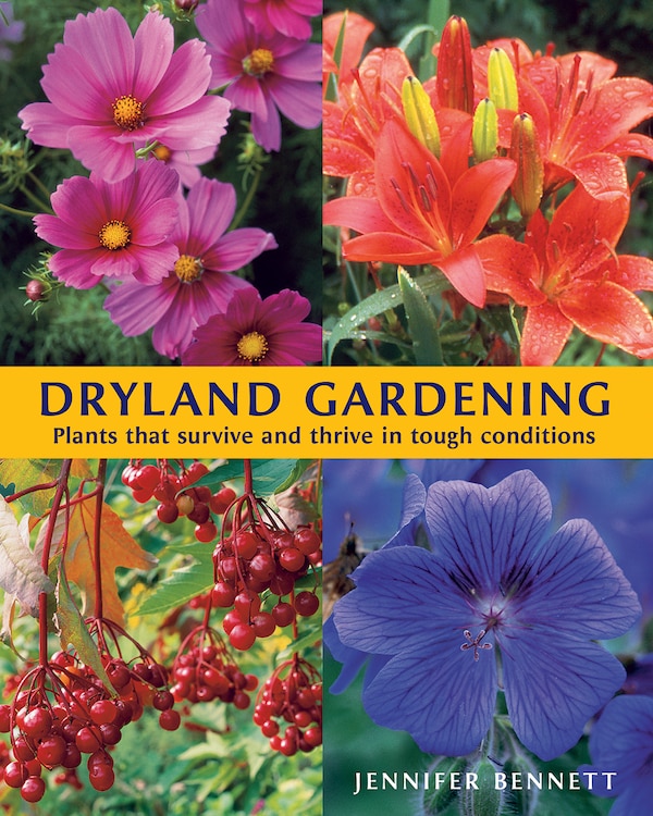 Dryland Gardening by Jennifer Bennett, Paperback | Indigo Chapters