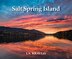 Salt Spring Island by J. A. Kraulis, Paperback | Indigo Chapters