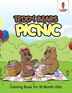 Teddy Bears Picnic by Coloring Coloring Bandit, Paperback | Indigo Chapters