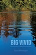 The Big Vivid by Gary Montague, Paperback | Indigo Chapters