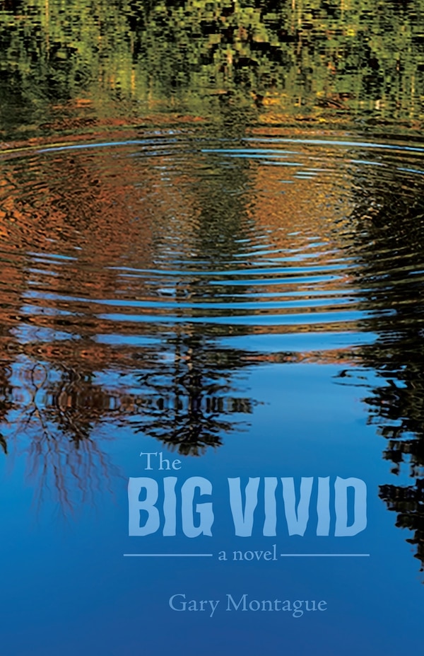 The Big Vivid by Gary Montague, Paperback | Indigo Chapters