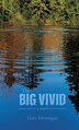 The Big Vivid by Gary Montague, Hardcover | Indigo Chapters
