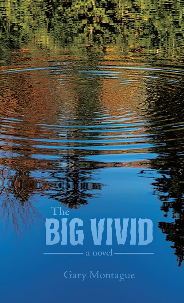 The Big Vivid by Gary Montague, Hardcover | Indigo Chapters