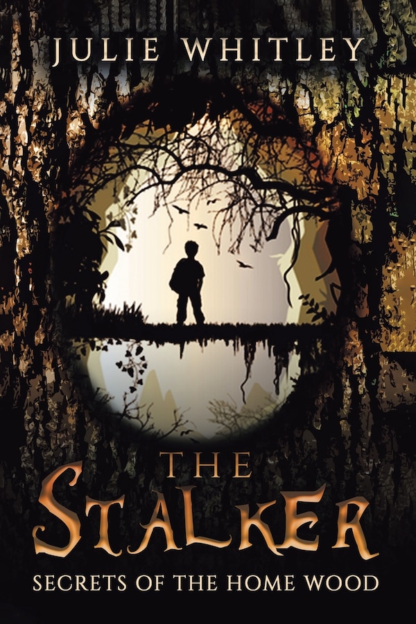 The Stalker by Julie Whitley, Paperback | Indigo Chapters