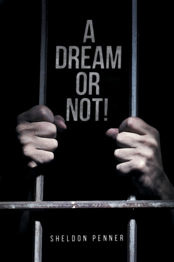 A Dream or Not by Sheldon Penner, Paperback | Indigo Chapters