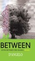 Between by D'Angelo, Hardcover | Indigo Chapters