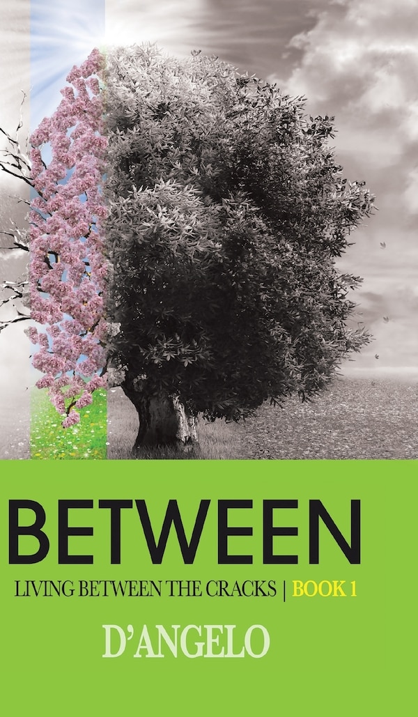 Between by D'Angelo, Hardcover | Indigo Chapters