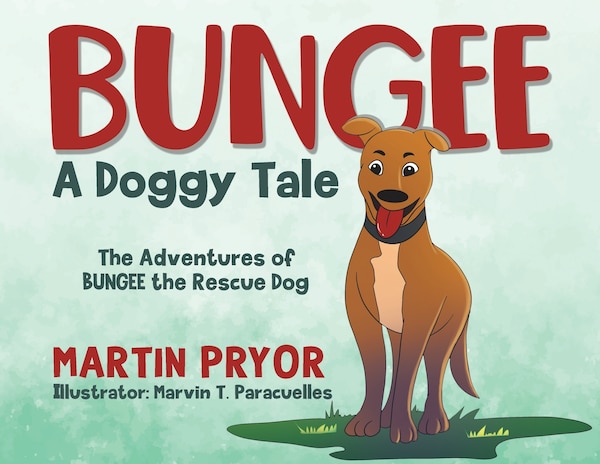Bungee by Martin Pryor, Paperback | Indigo Chapters