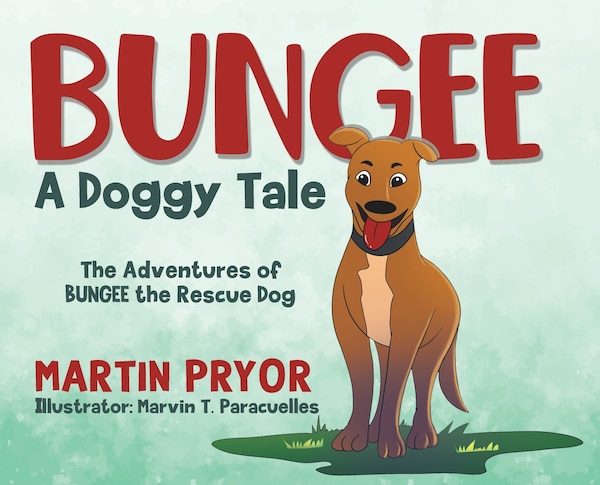 Bungee by Martin Pryor, Hardcover | Indigo Chapters