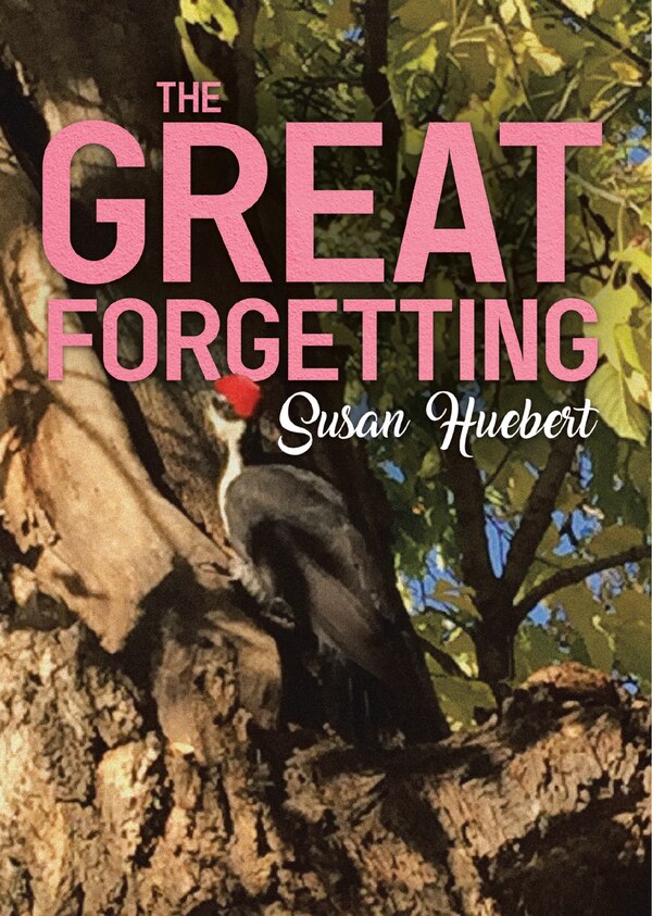 The Great Forgetting by Susan Huebert, Paperback | Indigo Chapters