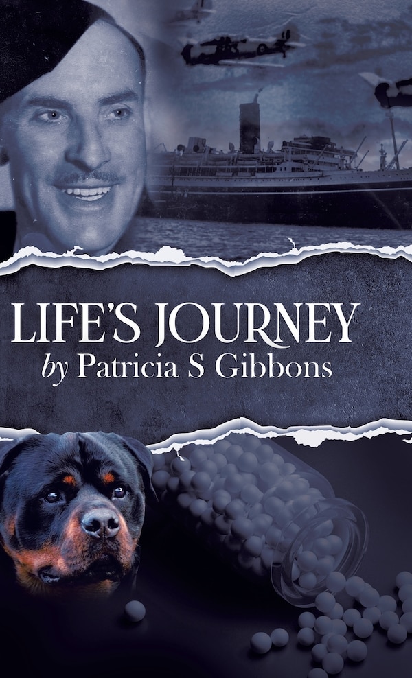 Life's Journey by Patricia S Gibbons, Hardcover | Indigo Chapters