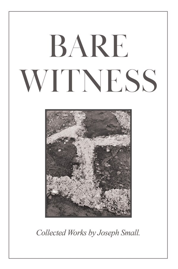 Bare Witness by Joseph Small, Hardcover | Indigo Chapters