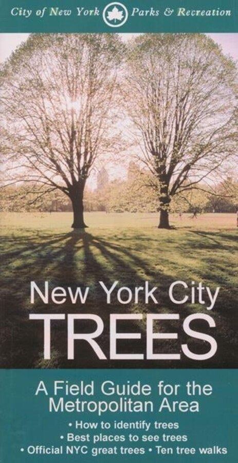 New York City Trees by Edward Barnard, Paperback | Indigo Chapters