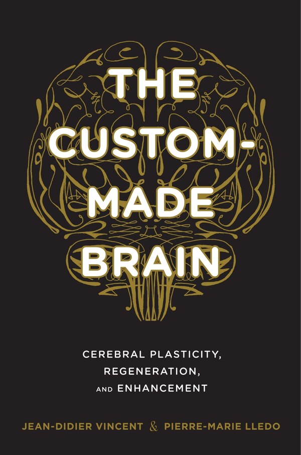 The Custom-Made Brain by JEAN-DIDIER VINCENT, Hardcover | Indigo Chapters