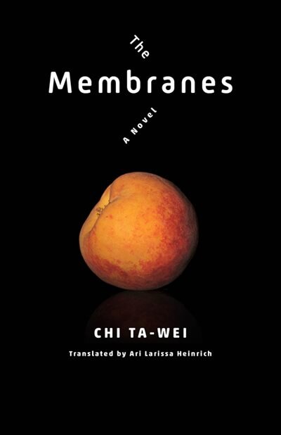 The Membranes by Ta-wei Chi, Hardcover | Indigo Chapters