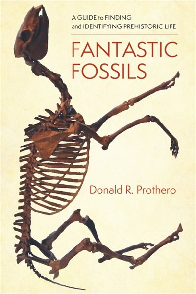 Fantastic Fossils by Donald R. Prothero, Hardcover | Indigo Chapters