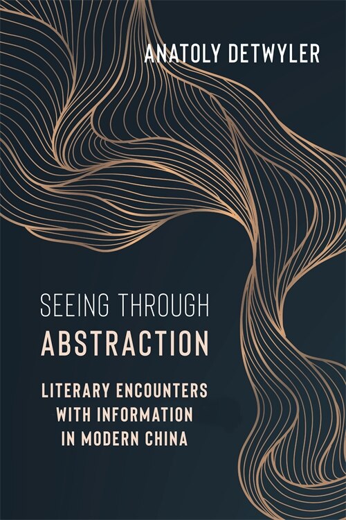 Seeing Through Abstraction by Anatoly Detwyler, Paperback | Indigo Chapters