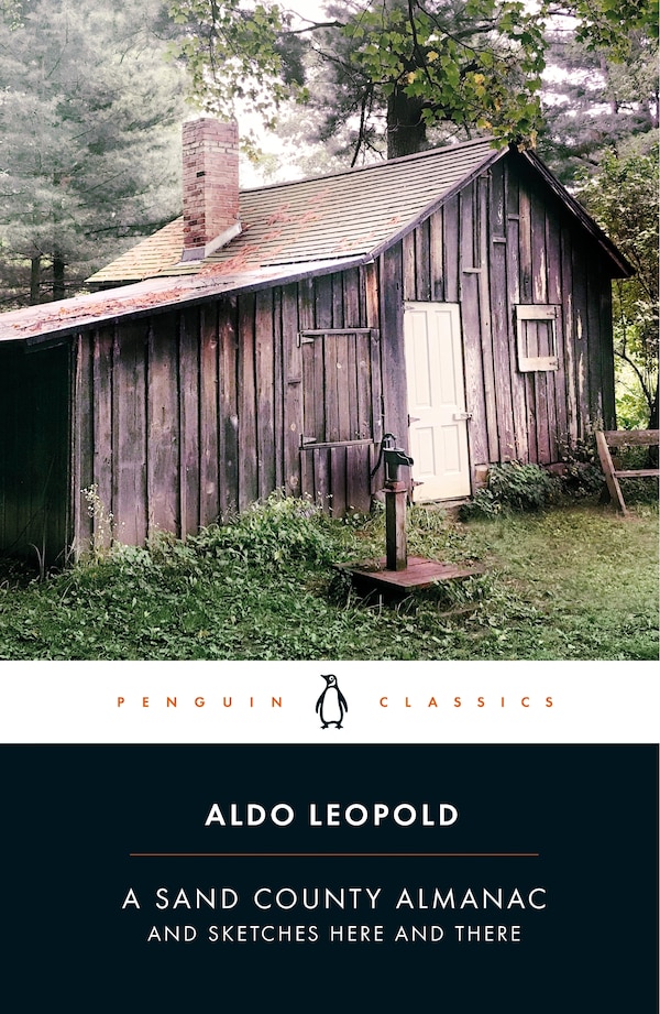 A Sand County Almanac by Aldo Leopold, Paperback | Indigo Chapters
