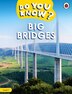 Do You Know? Level 1 - Big Bridges by Ladybird Ladybird, Paperback | Indigo Chapters