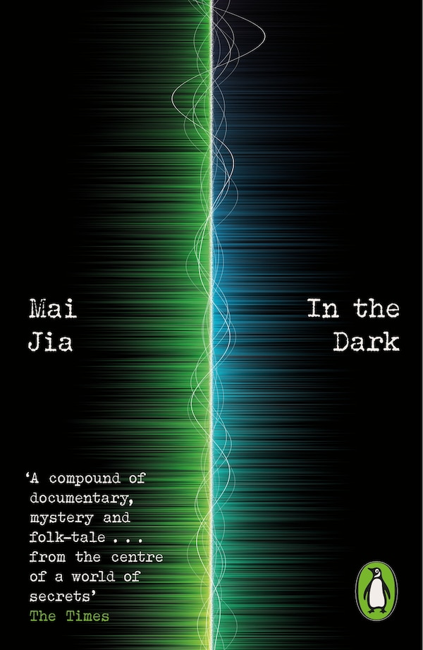 In the Dark by Mai Jia, Paperback | Indigo Chapters