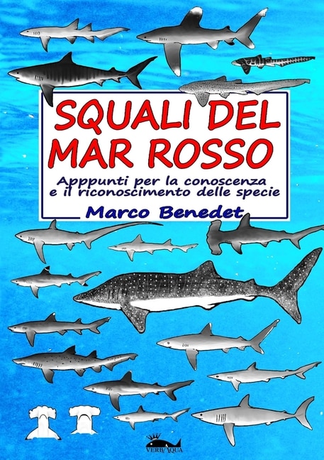 Squali del Mar Rosso by Marco Benedet, Paperback | Indigo Chapters