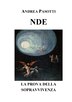 Nde - La Prova Della Sopravvivenza by Andrea Pasotti, Paperback | Indigo Chapters