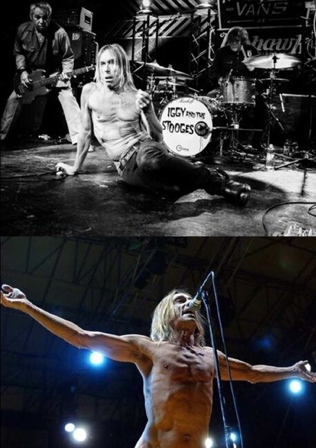 Iggy and the Stooges by Harry Lime, Paperback | Indigo Chapters