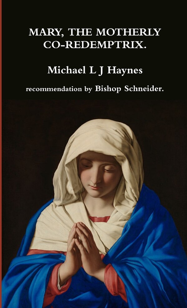 Mary the motherly Co-Redemptrix by Michael L J Haynes, Paperback | Indigo Chapters