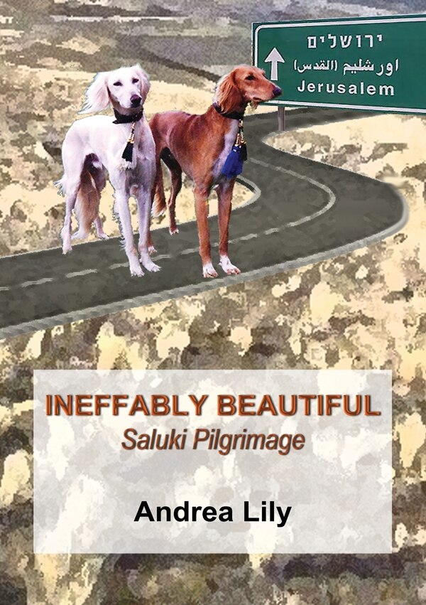 Ineffably Beautiful by Andrea Lily, Paperback | Indigo Chapters