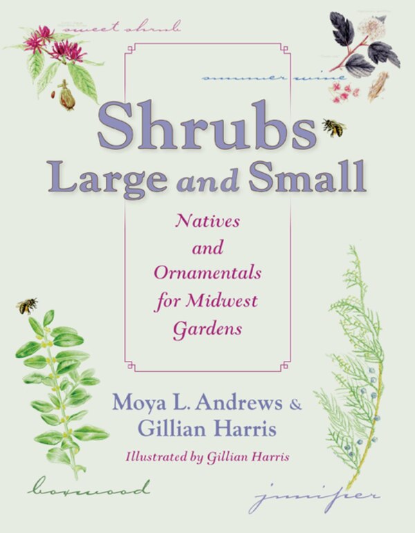 Shrubs Large And Small by Moya L. Andrews, Paperback | Indigo Chapters