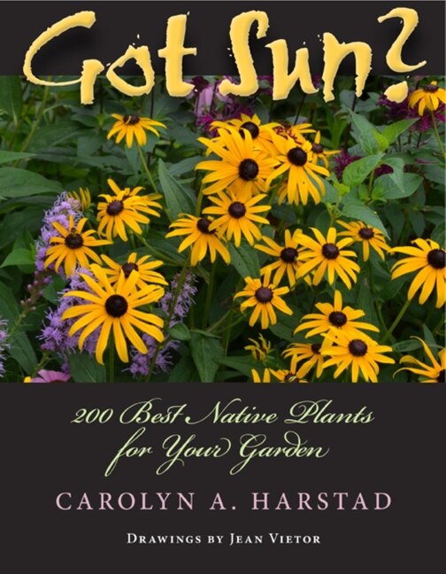 Got Sun? by Carolyn A. Harstad, Paperback | Indigo Chapters
