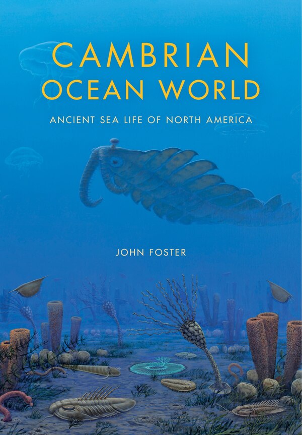 Cambrian Ocean World by John Foster, Hardcover | Indigo Chapters