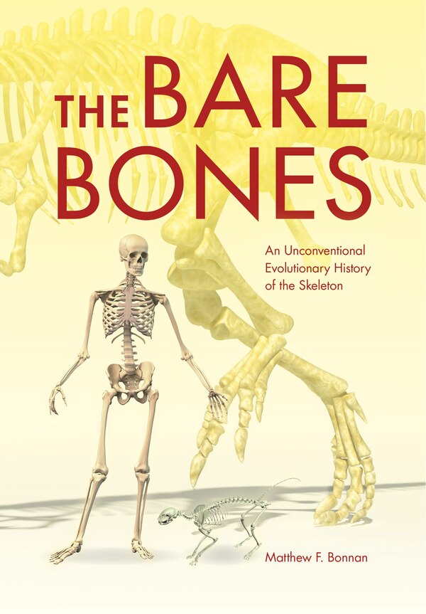 The Bare Bones by Matthew F. Bonnan, Hardcover | Indigo Chapters